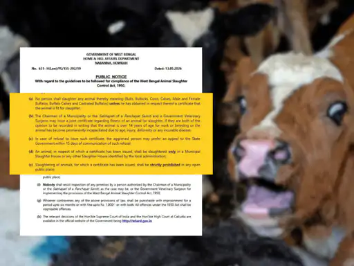 Bengal brings strict rule for slaughter:Public slaughter banned, mandatory veterinary certification required before religious animal sacrifice