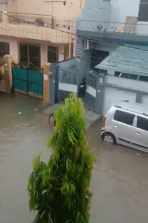 Up Heavy Rain
